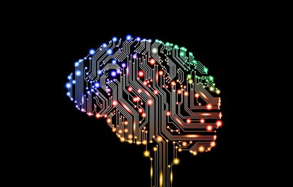 Кракен тор вход